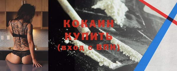 Альфа ПВП Верея