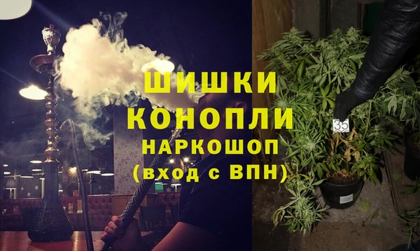 Альфа ПВП Верея